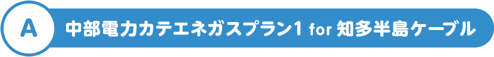 A 中部電力カテエネガスプラン1 for 知多半島ケーブル