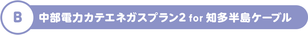 B 中部電力カテエネガスプラン2 for 知多半島ケーブル